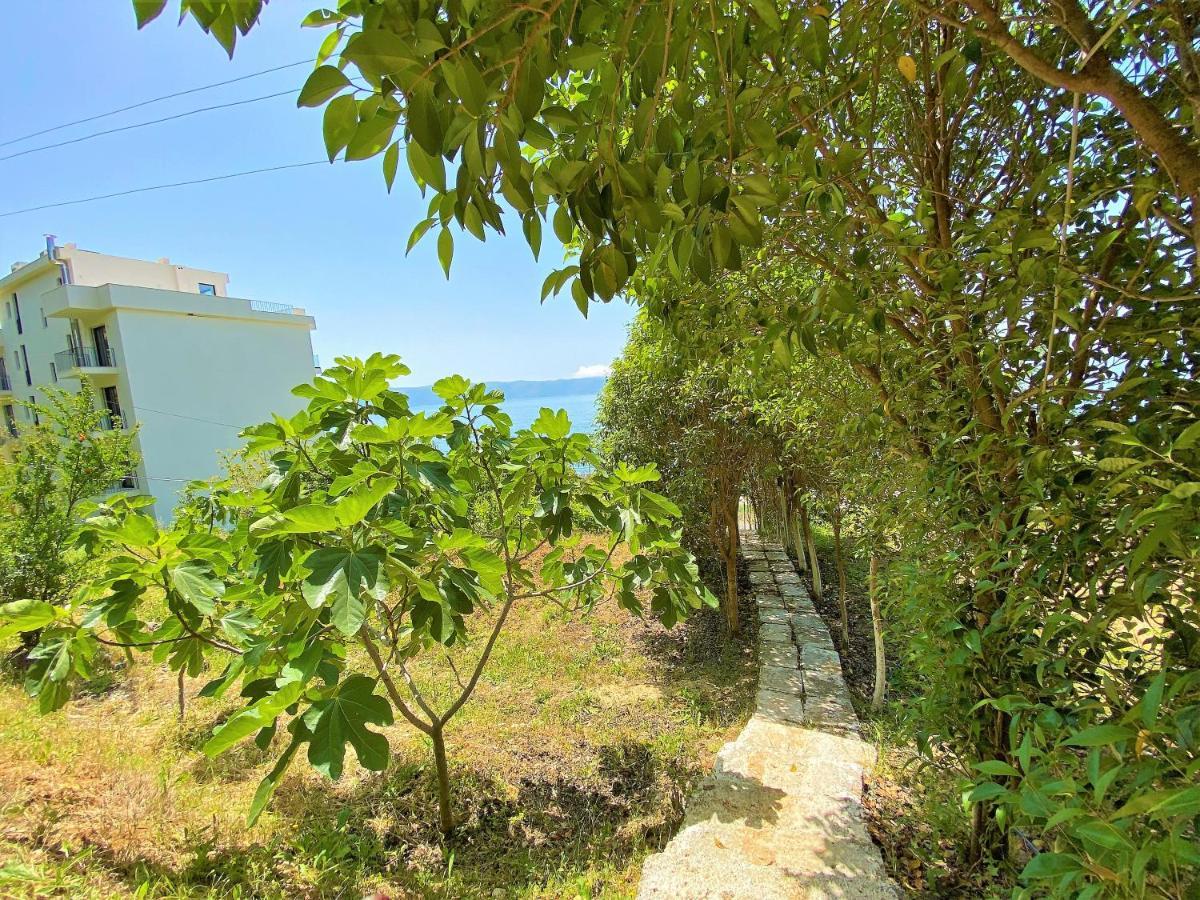 Ramo'S Cozy Beachside Haven With Panoramic Views - 2Nd Влёра Экстерьер фото